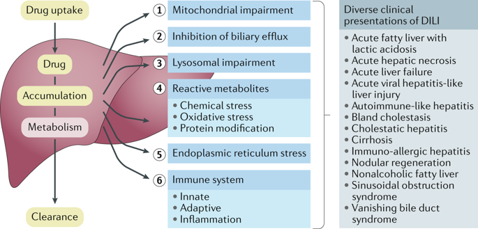 Managing The Challenge Of Drug-induced Liver Injury: A Roadmap For The ...