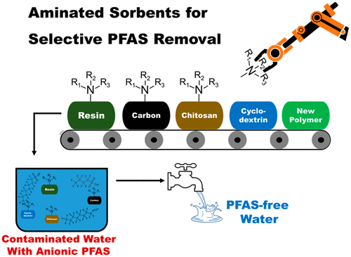 Efficient PFAS Removal By Amine-Functionalized Sorbents: Critical ...