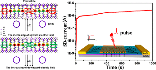 Light-Enhanced Ion Migration In Two-Dimensional Perovskite Single ...