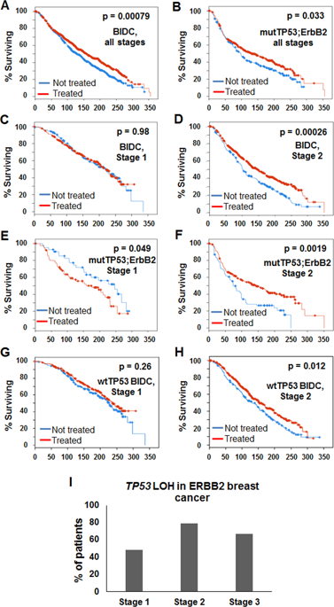 Irradiation Induces P53 Loss Of Heterozygosity In Breast Cancer Expressing Mutant P53 1391