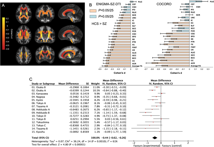 White Matter Microstructural Alterations Across Four Major Psychiatric Disorders Mega Analysis Study In 2937 Individuals Molecular Psychiatry X Mol