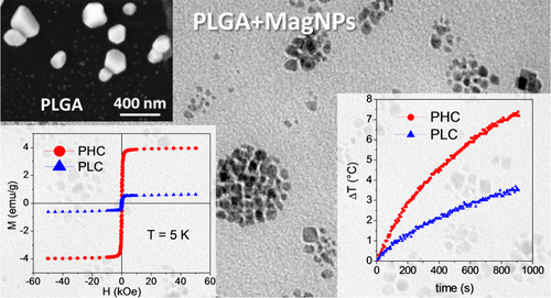 Dipolar Magnetic Interactions In Mn Doped Magnetite Nanoparticles Loaded Into Plga Nanocapsules For Nanomedicine Applications The Journal Of Physical Chemistry C X Mol