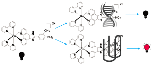 Nitro-Substituted Ruthenium(II) Complex: A New Strategy for a G ...