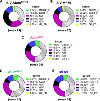 Alvac Hiv B C Candidate Hiv Vaccine Efficacy Dependent On Neutralization Profile Of Challenge Virus And Adjuvant Dose And Type Plos Pathogens X Mol