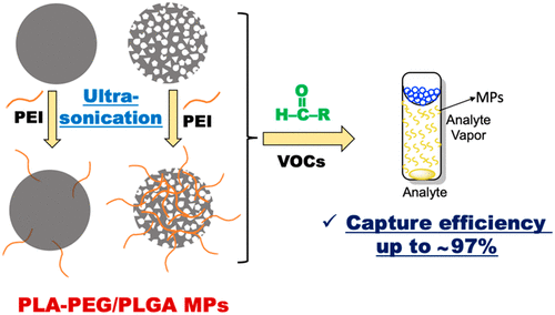 Controllable Design Of Naked And Poly Amine Capped Porous And Nonporous Microparticles Of