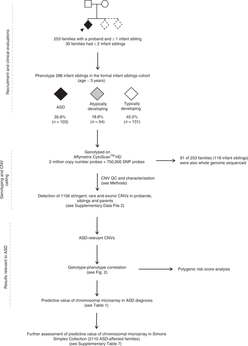 Predictive Impact Of Rare Genomic Copy Number Variations In Siblings Of Individuals With Autism Spectrum Disorders Nature Communications X Mol