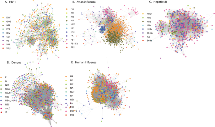 Statistical Characteristics Of Amino Acid Covariance As Possible Descriptors Of Viral Genomic Complexity Scientific Reports X Mol