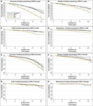50岁及以上个人的自评健康 Srh 对全因死亡率和特定死因的影响中的性别差异 Plos One X Mol