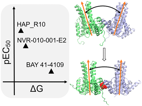 Heteroaryldihydropyrimidines Alter Capsid Assembly By Adjusting The Binding Affinity And Pattern