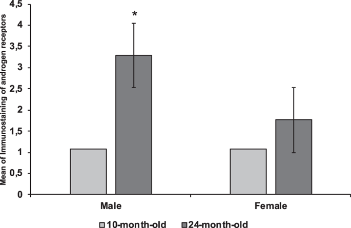 Influence Of Age And Gender On Sex Steroid Receptors In Rat Masticatory Musclesscientific 0032