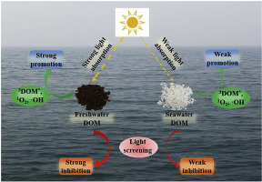 Effects Of Dissolved Organic Matter Derived From Freshwater And ...