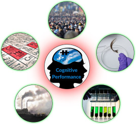 Environmental Chronic Exposure To Metals And Effects On Attention And Executive Function In The General Population Science Of The Total Environment X Mol