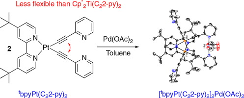 Structural Characterization Of The Metalloligand Tbpypt C22 Py 2 And Its Interaction With Pd Oac 2 Inorganic Chemistry Communications X Mol