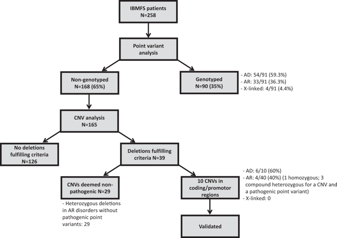 Reanalysing Genomic Data By Normalized Coverage Values Uncovers Cnvs In Bone Marrow Failure Gene Panels Npj Genomic Medicine X Mol