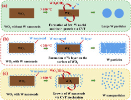 Seeded Growth Synthesis Of W Nanoparticles In Reduction Process Of Wo2 By Hydrogen Journal Of Alloys And Compounds X Mol