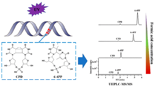 Formic Acid Of Ppm Enhances Lc Ms Ms Detection Of Uv Irradiation Induced Dna Dimeric Photoproducts Anal Chem X Mol