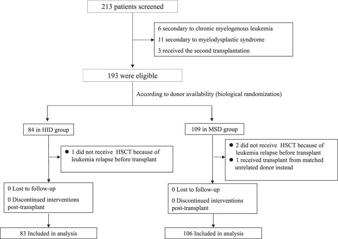 Haploidentical transplantation might have superior graft-versus