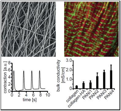 Nanofibrous Composite With Tailorable Electrical And Mechanical