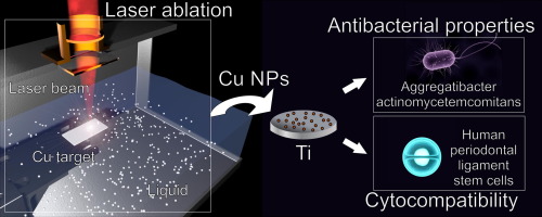 Copper Nanoparticles Obtained By Laser Ablation In Liquids As Bactericidal Agent For Dental Applications Applied Surface Science X Mol