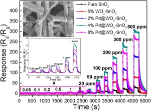 Nanoscale Pd Catalysts Decorated WO3–SnO2 Heterojunction Nanotubes For ...