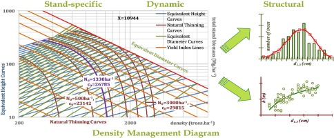 偶龄天然林分和人工林的动态结构林分密度管理图 Forest Ecology And Management X Mol