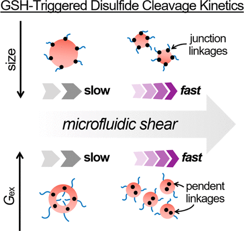 Controlled Microfluidic Synthesis Of Biological Stimuli-Responsive ...