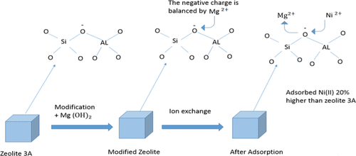 Adsorption of Nickel, Ni(II), in Aqueous Solution by Modified 