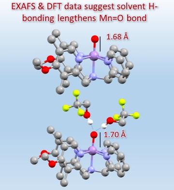 Structural Characterization Of A Series Of N5 Ligated Mniv Oxo Species Chemistry A European Journal X Mol