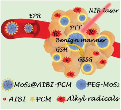 Glutathione Depletion In A Benign Manner By MoS2 -Based Nanoflowers For ...