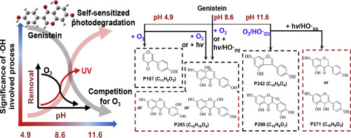 Opposite pH-dependent roles of hydroxyl radicals in ozonation and UV ...