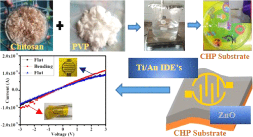 Biodegradable Flexible Substrate Based On Chitosan/PVP Blend Polymer ...