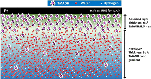 Unusually High Concentration Of Alkyl Ammonium Hydroxide In The Cation Hydroxide Water Coadsorbed Layer On Pt Acs Applied Materials Interfaces X Mol