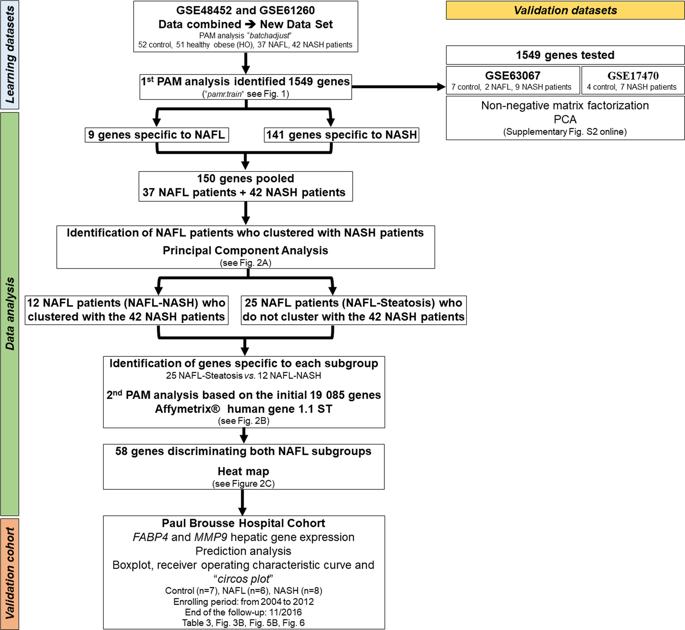 fabp4-and-mmp9-levels-identified-as-predictive-factors-for-poor