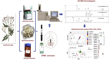 Volatiles Distribution In Jasmine Flowers Taxa Grown In Egypt And Its Commercial Products As Analyzed Via Solid Phase Microextraction Spme Coupled To Chemometrics Industrial Crops And Products X Mol