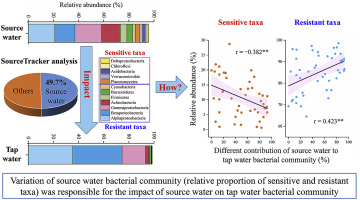 tap water research