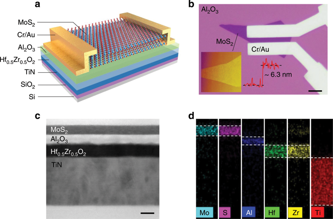 Ultrasensitive Negative Capacitance Phototransistors.,Nature ...