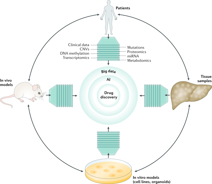 Harnessing Big 'omics' Data And AI For Drug Discovery In Hepatocellular ...