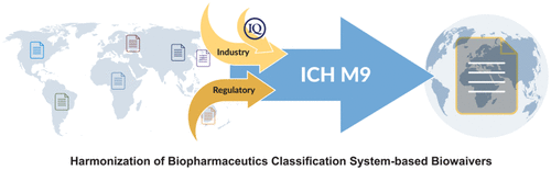 ICH M9 Guideline In Development On Biopharmaceutics Classification ...