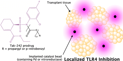 Design and Catalyzed Activation of Tak-242 Prodrugs for Localized 