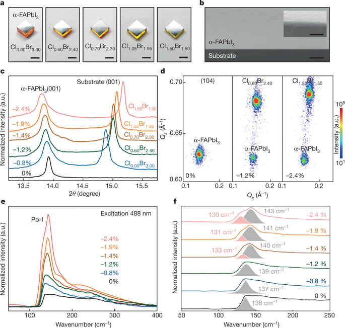 Strain engineering and epitaxial stabilization of halide perovskites