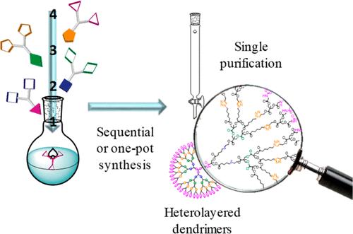 对序列控制的异层树枝状聚合物的加速化学选择性反应 Journal Of The American Chemical Society X Mol