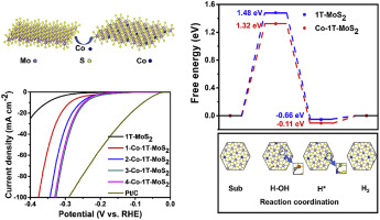 One-step Synthesis Of Co-doped 1T-MoS2 Nanosheets With Efficient And ...