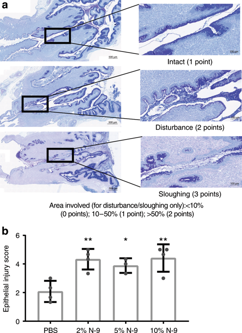 Cervical Epithelial Damage Promotes Ureaplasma Parvum Ascending ...