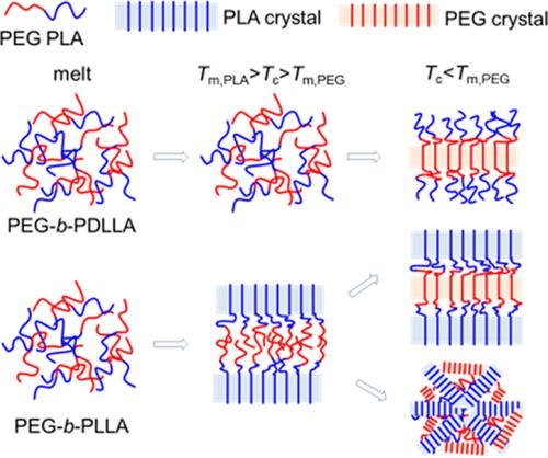 Confined Crystallization, Melting Behavior And Morphology In PEG‐b‐PLA ...