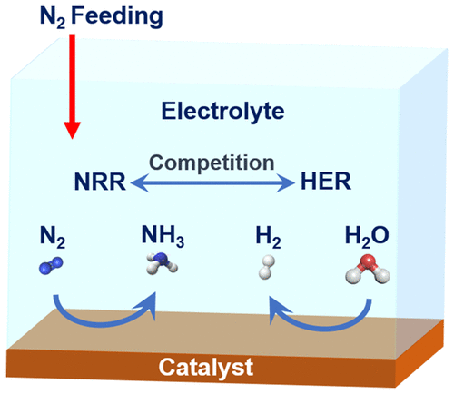 Understanding The Electrocatalytic Interface For Ambient Ammonia ...