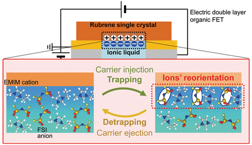 Electric-double-layer field-effect transistors with ionic liquids