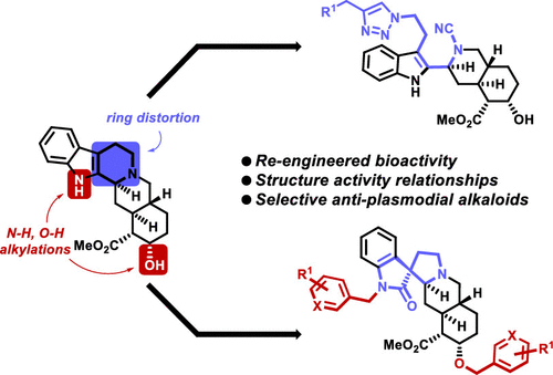 Re Engineering Of Yohimbine S Biological Activity Through Ring Distortion Identification And Structure Activity Relationships Of A New Class Of Antiplasmodial Agents Acs Infectious Diseases X Mol