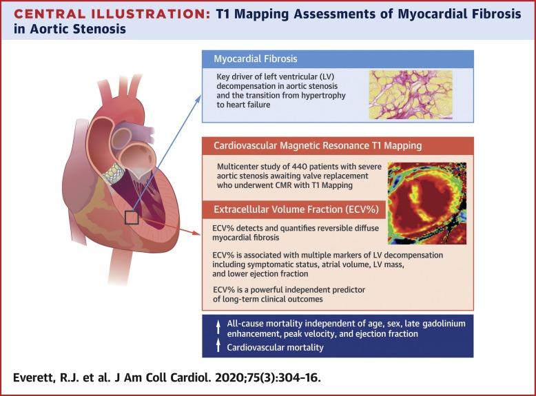 Extracellular Myocardial Volume In Patients With Aortic Stenosis Journal Of The American College Of Cardiology X Mol