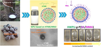 A New Hybrid Waterborne Polyurethane Coating Synthesized From Natural ...