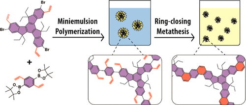 Solution Processable Porous Nanoparticles Of A Conjugated Ladder Polymer Network Macromolecules X Mol